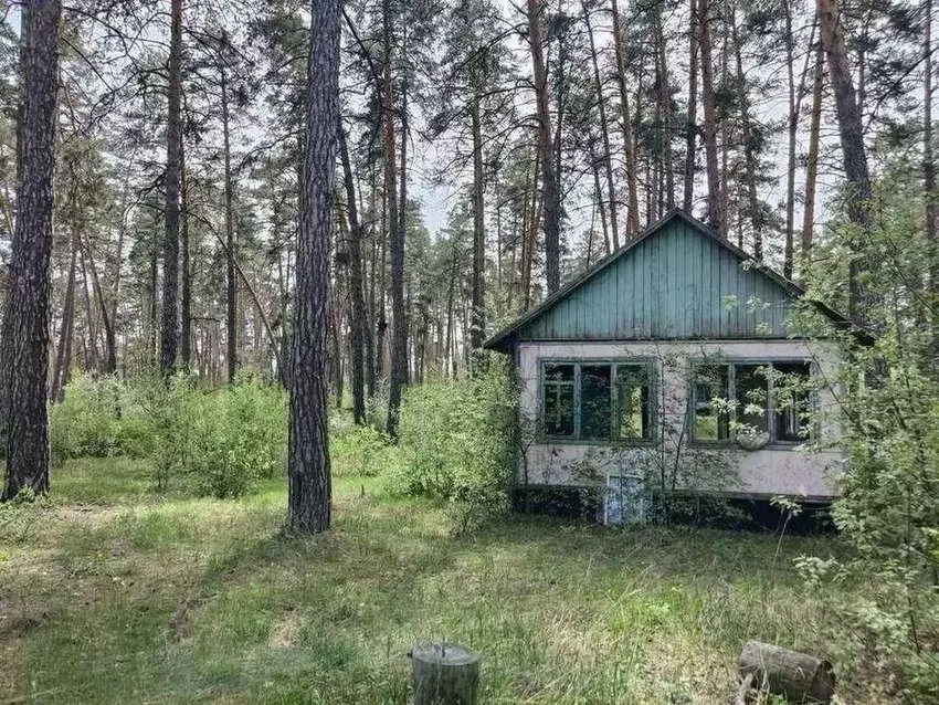 Участок в Самарская область, Тольятти Лесопарковое ш. (20.67 сот.) - Фото 1