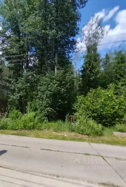 Участок в Московская область, Одинцовский городской округ, д. Сивково, ... - Фото 2