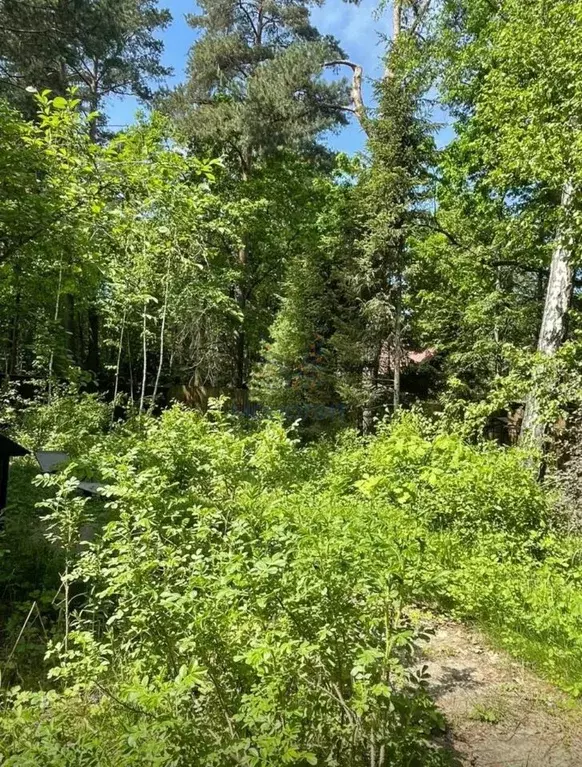 Участок в Московская область, Одинцовский городской округ, д. Жуковка, ... - Фото 1