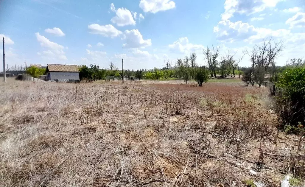 Участок в Волгоградская область, Среднеахтубинский район, Красное ... - Фото 2