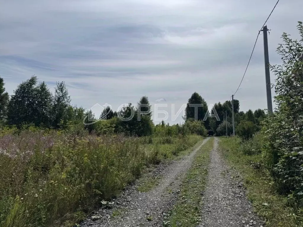 Участок в Тюменская область, Тюменский муниципальный округ, ... - Фото 2