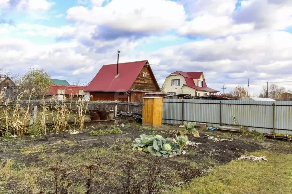 Участок в Тюменская область, Тюмень Садовое товарищество Липовый ... - Фото 2