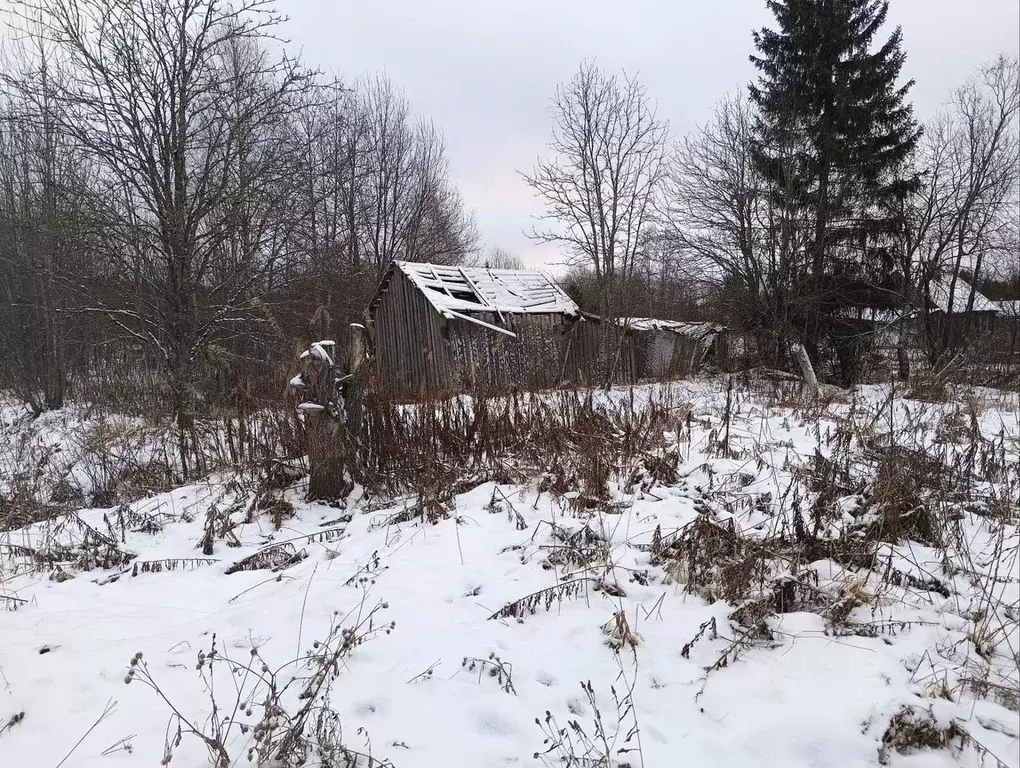 Участок в Вологодская область, Кичменгско-Городецкий муниципальный ... - Фото 0