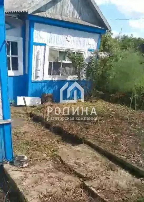 Участок в Хабаровский край, Комсомольск-на-Амуре Горизонт СНТ, 12 ... - Фото 1