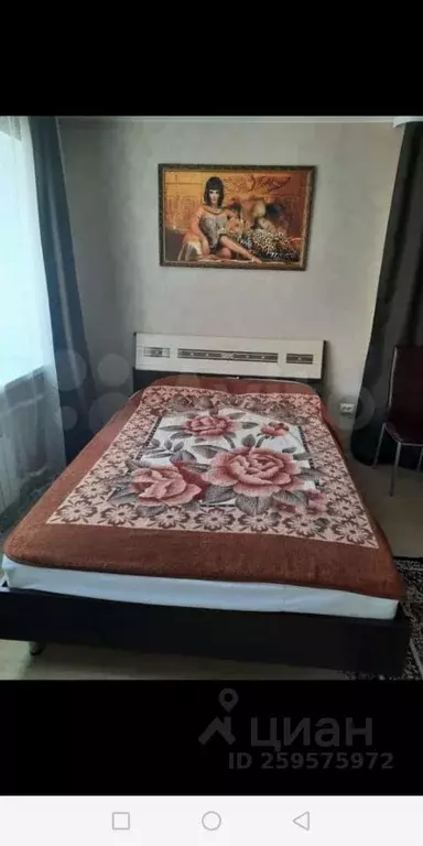 1-к кв. Курганская область, Курган ул. Карла Маркса, 80 (31.0 м) - Фото 2