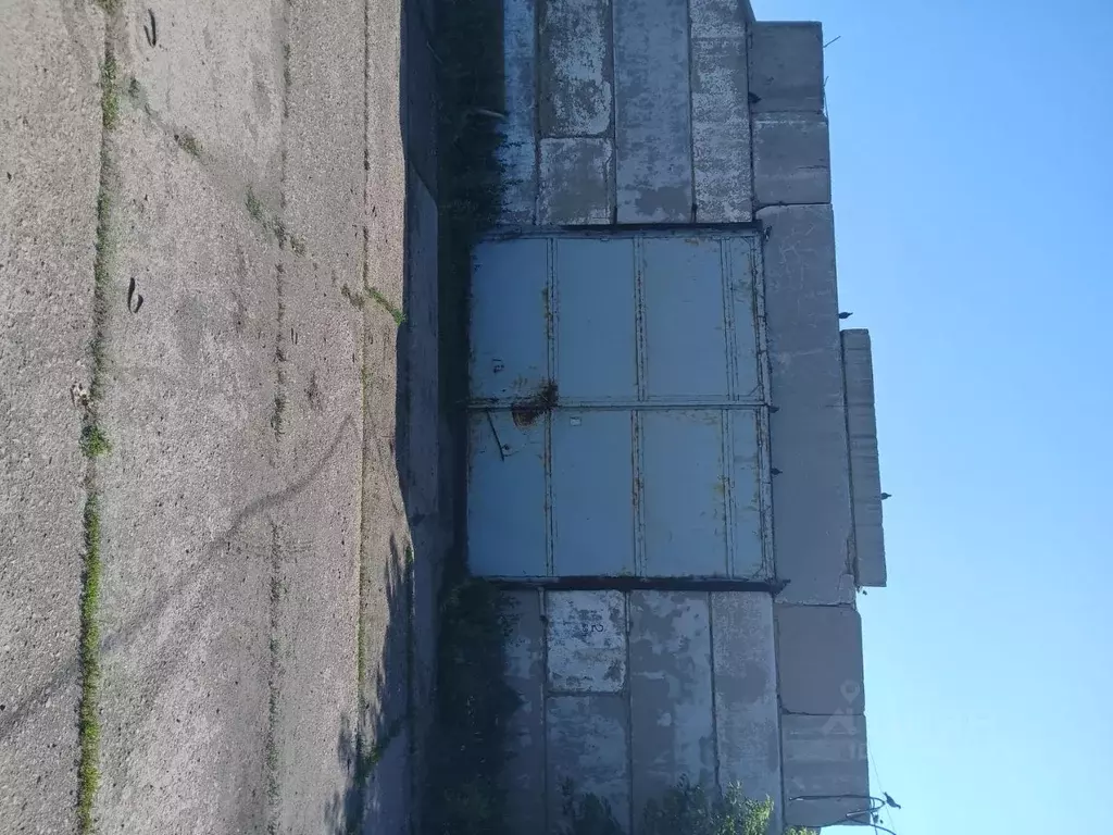 Помещение свободного назначения в Омская область, Таврический район, ... - Фото 0