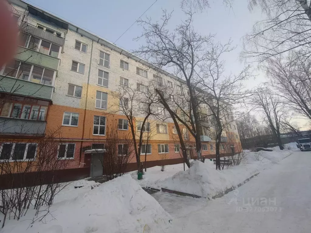 1-к кв. Московская область, Ногинск Богородский городской округ, ул. ... - Фото 2