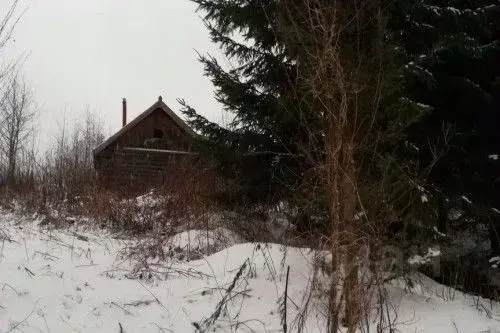 Участок в Новгородская область, Новгородский район, Борковское с/пос, ... - Фото 2