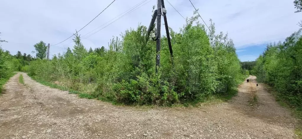 Участок 10 сот. (СНТ, ДНП) - Фото 0