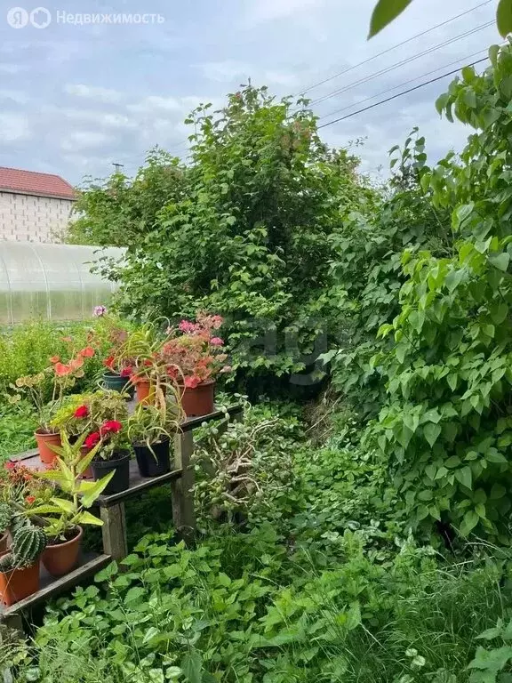 Участок в Зеленоградск, Курортная улица (6.8 м) - Фото 1