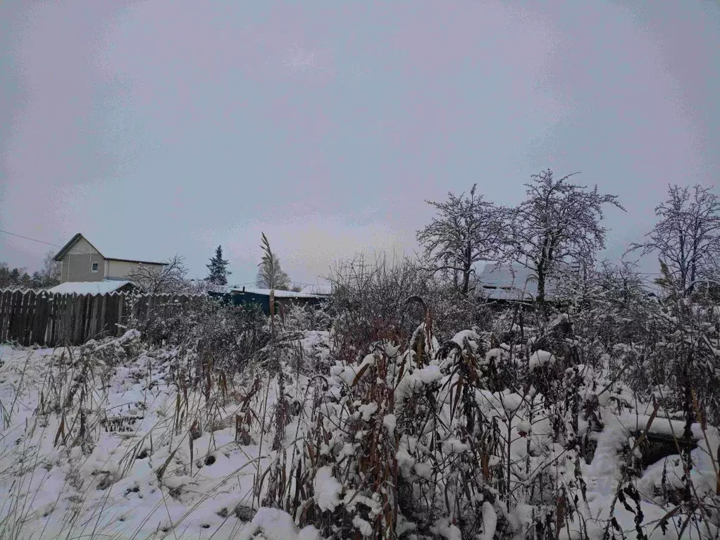Участок в Новгородская область, Новгородский район, Панковское ... - Фото 2
