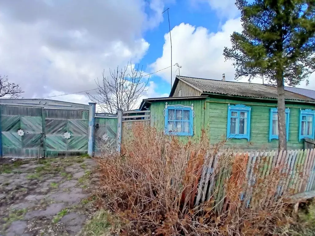 Дом в Омская область, Калачинский район, с. Сорочино Береговая ул., 29 ... - Фото 0