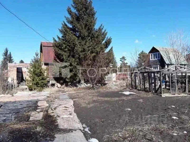 Участок в Новосибирская область, Новосибирский район, Кудряшовский ... - Фото 1