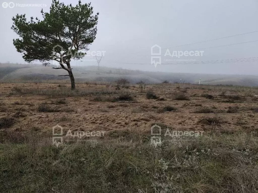 Участок в Городищенский район, Царицынское сельское поселение, посёлок ... - Фото 1