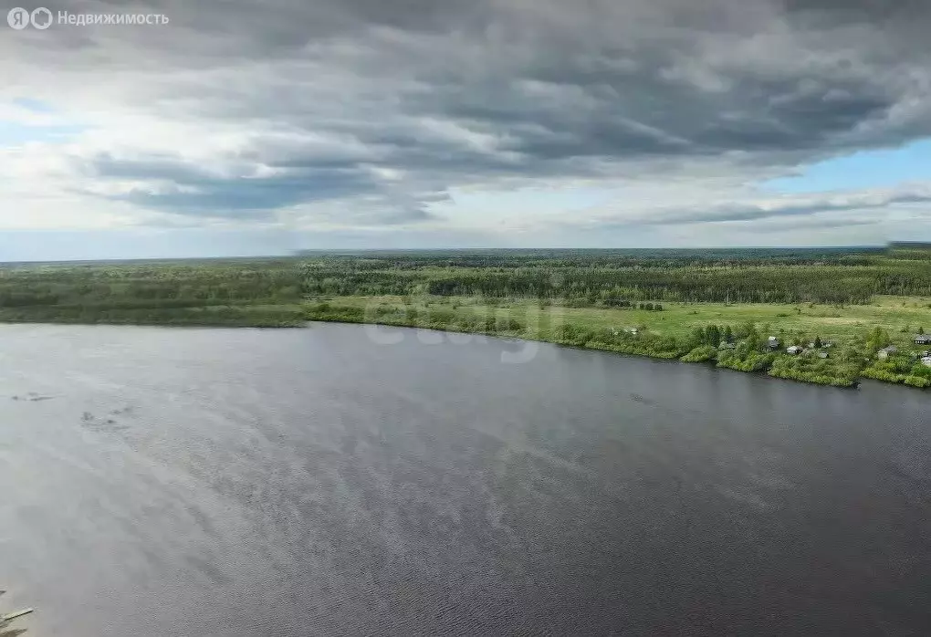 Участок в Вологодская область, Междуреченский муниципальный округ, ... - Фото 1