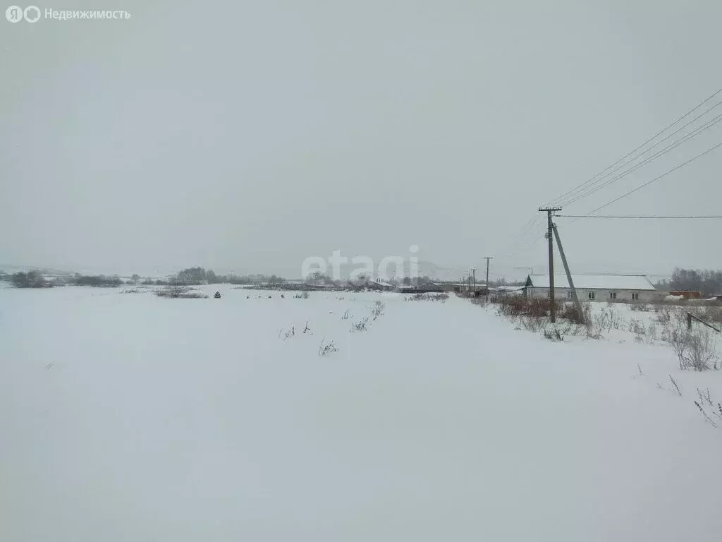 Участок в Стерлитамакский район, Казадаевский сельсовет, село Новое ... - Фото 1