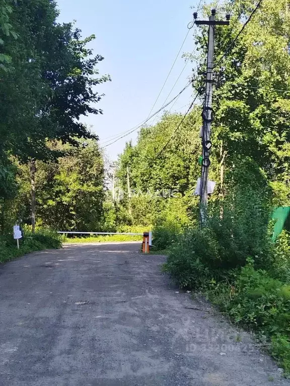 Участок в Ленинградская область, Всеволожский район, Лесколовское ... - Фото 1