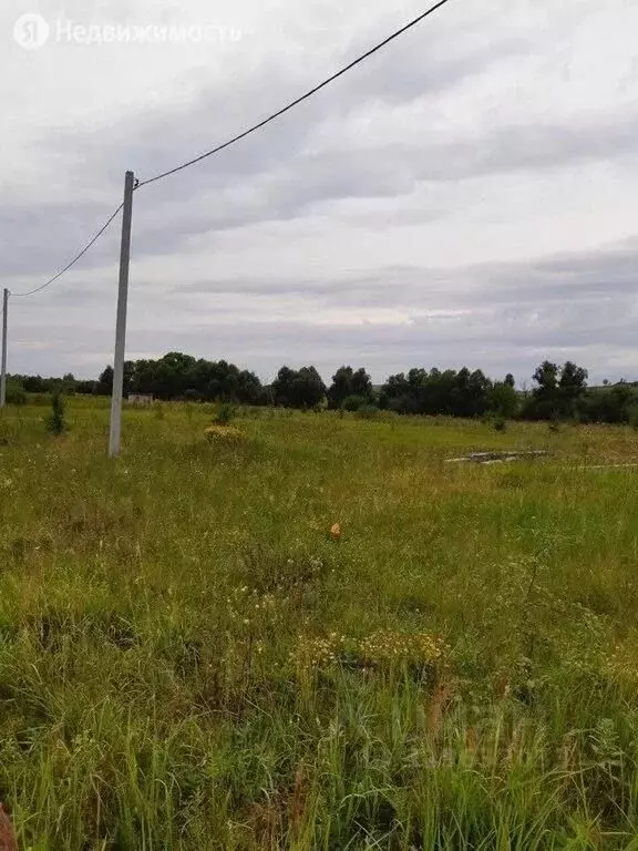 Участок в Пензенская область, с. Бессоновка ул. Коммунальная, 59 (11.0 ... - Фото 1