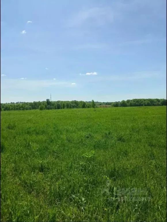 Участок в Владимирская область, Александровский район, Следневское ... - Фото 1