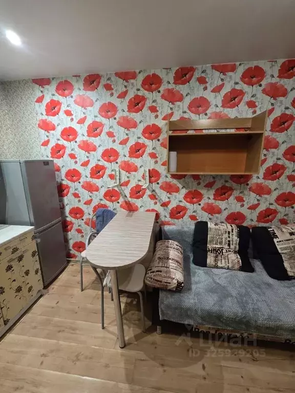 Студия Новосибирская область, Новосибирск ул. Виктора Уса, 9 (20.0 м) - Фото 1