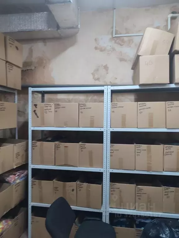 Помещение свободного назначения в Пензенская область, Пенза Окружная ... - Фото 2