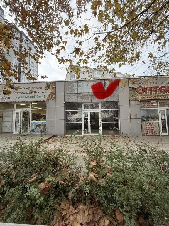 Помещение свободного назначения в Краснодарский край, Анапа Парковая ... - Фото 1