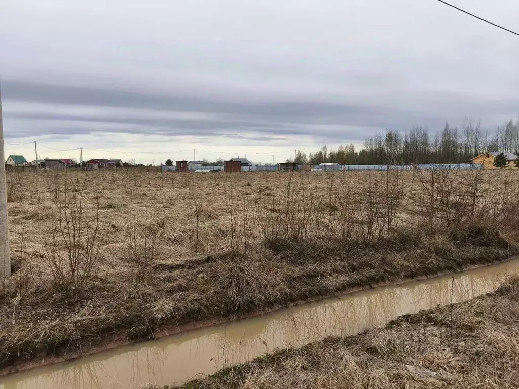 Участок в Новгородская область, Новгородский муниципальный район, ... - Фото 2