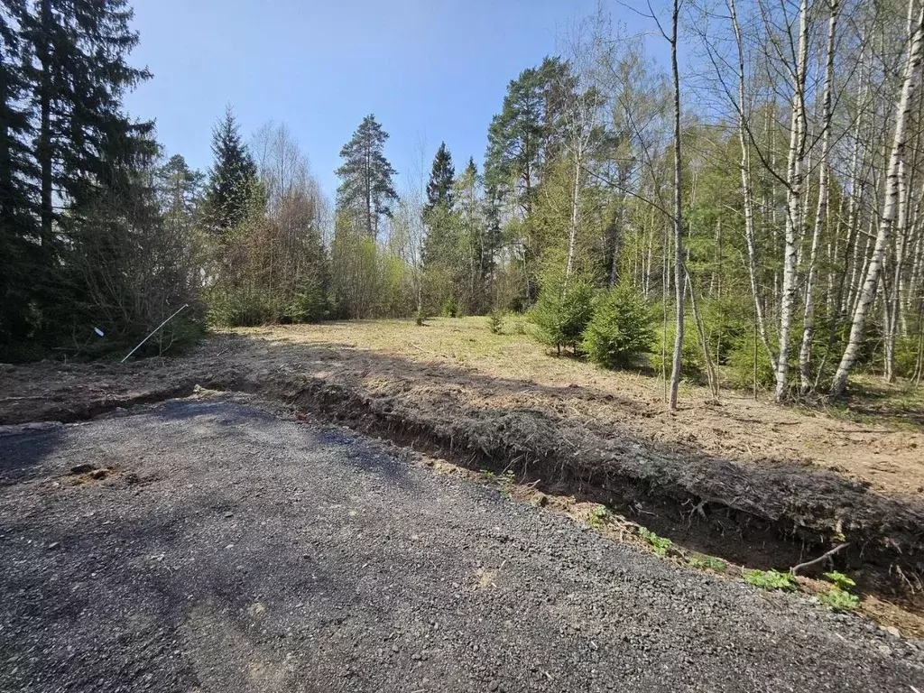 Участок в Московская область, Дмитровский муниципальный округ, д. ... - Фото 2