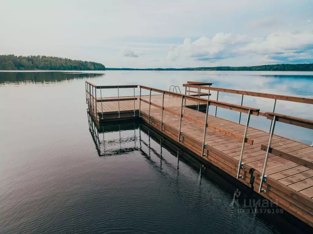 Участок в Ленинградская область, Выборгский район, Приморское ... - Фото 1