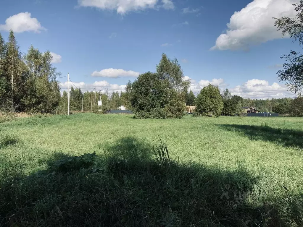 Участок в Ярославская область, Переславль-Залесский муниципальный ... - Фото 1