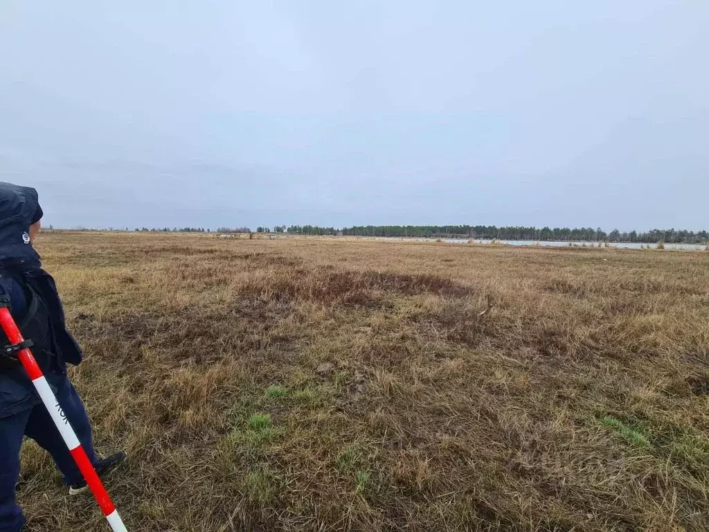 Участок в Саха (Якутия), Якутск ш. Покровское (8.25 сот.) - Фото 2