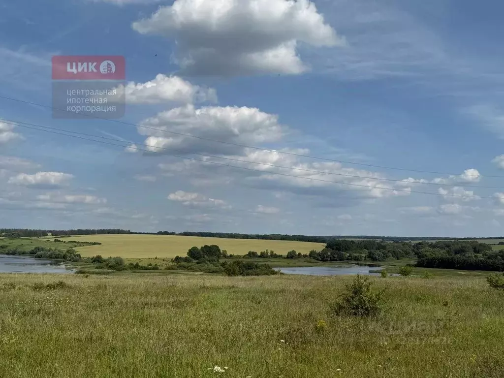 Участок в Рязанская область, Рязанский муниципальный округ, Екимовское ... - Фото 1