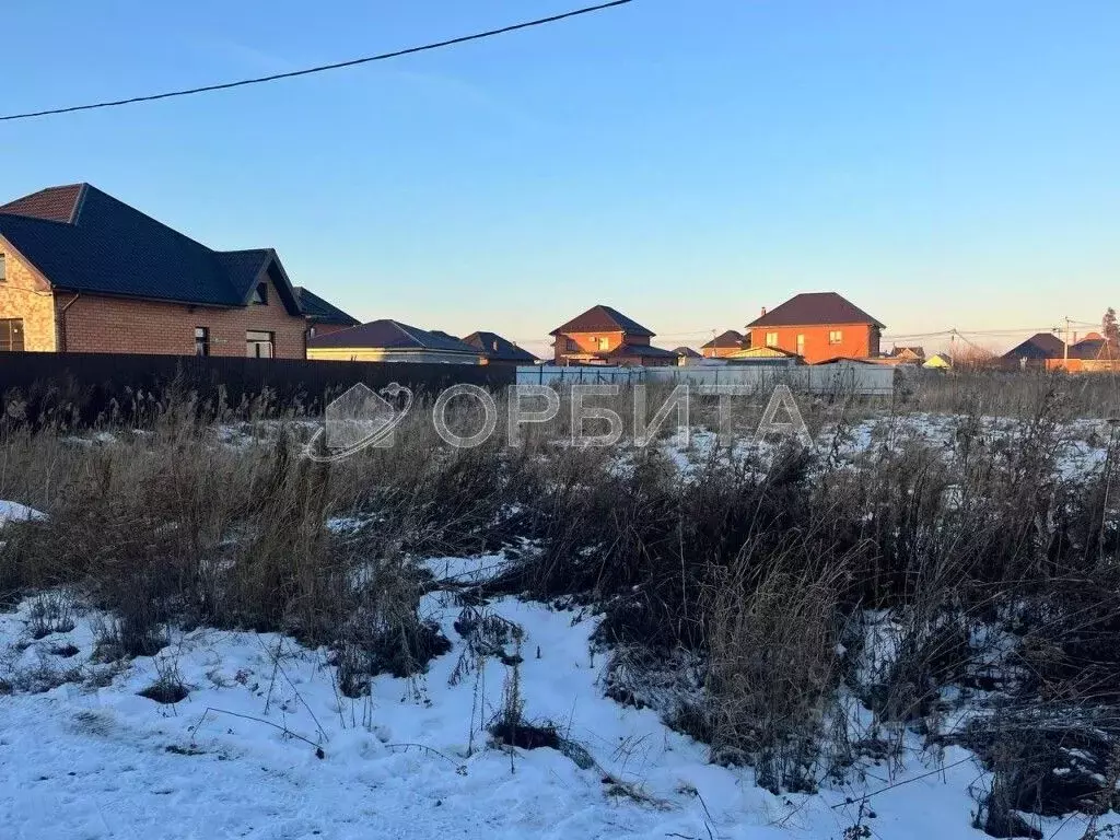 Участок в Тюменская область, Тюмень На Липовом кп, ул. Николая ... - Фото 1