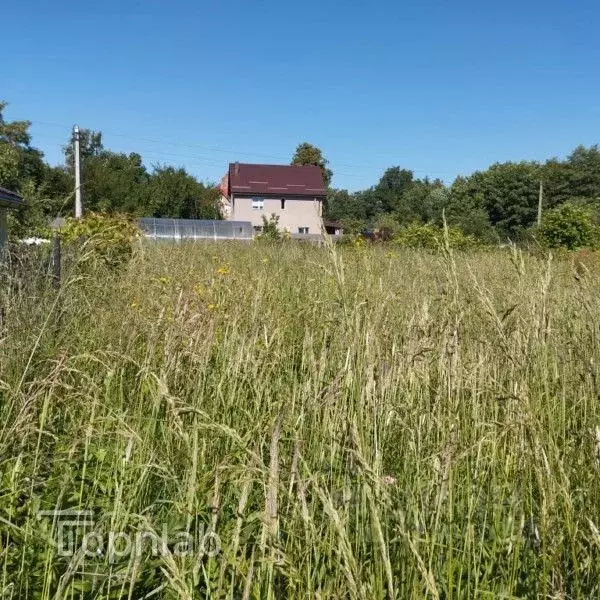 Участок в Калининградская область, Гурьевск ул. Новая Кленовая (11.0 ... - Фото 2