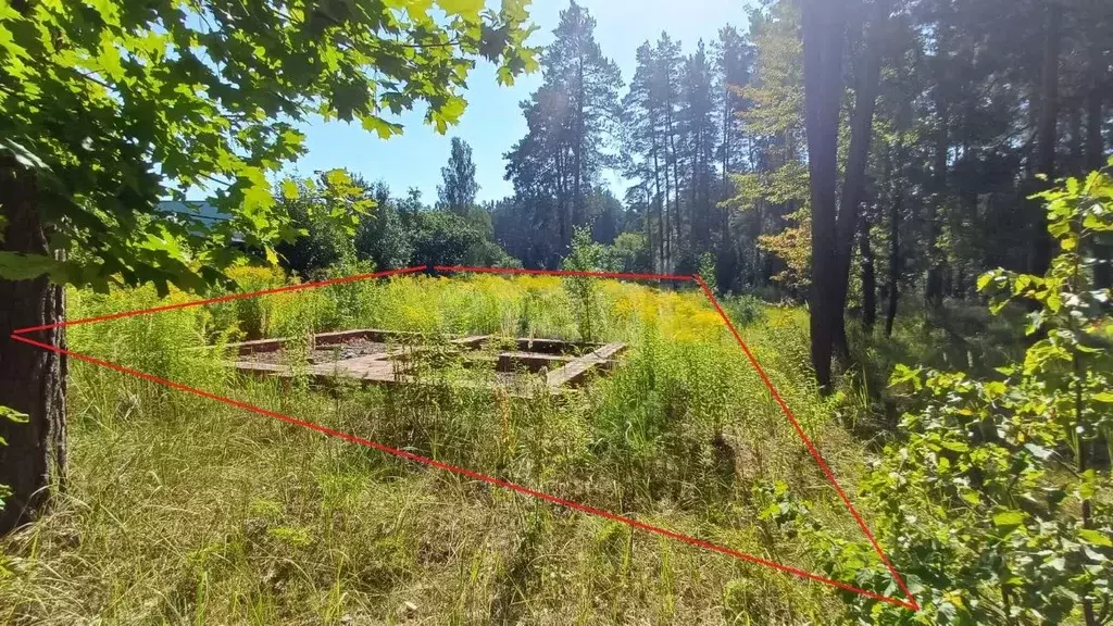 Участок в Брянская область, Брянский район, Свенское с/пос, пос. ... - Фото 1