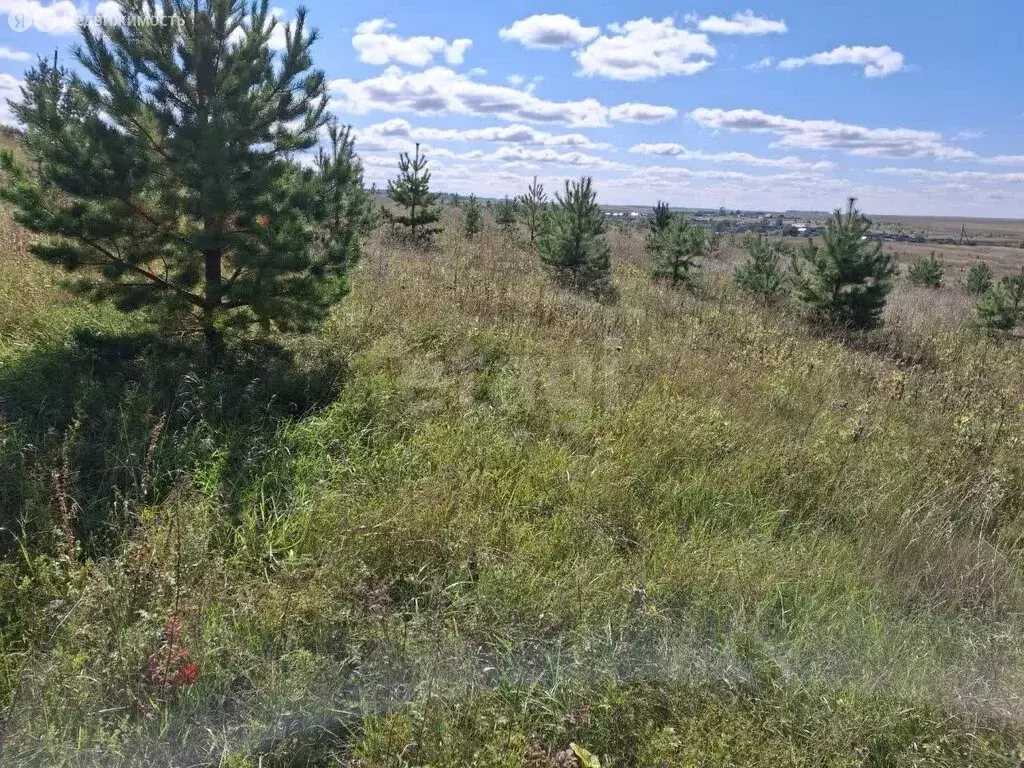 Участок в село Новая Пырма, Сосновая улица (10.55 м) - Фото 1