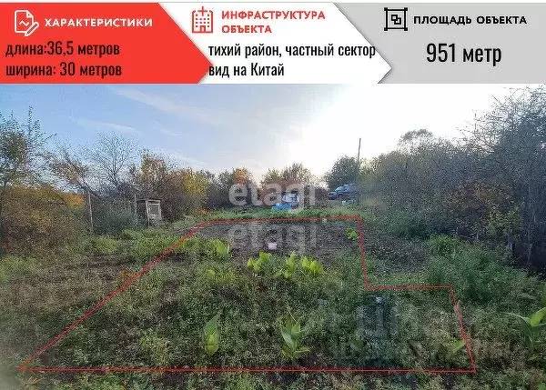 Участок в Амурская область, Благовещенский район, с. ... - Фото 0