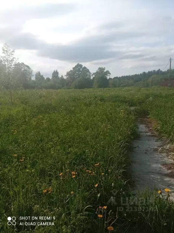 Участок в Ленинградская область, Светогорск Выборгский район, ул. Льва ... - Фото 1