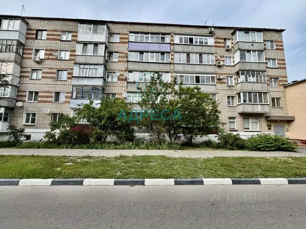 1-к кв. Белгородская область, Новый Оскол ул. Ленина, 50 (31.7 м) - Фото 2