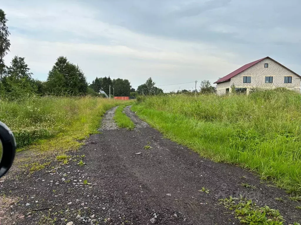 Участок в Ленинградская область, Кингисеппский район, Куземкинское ... - Фото 1