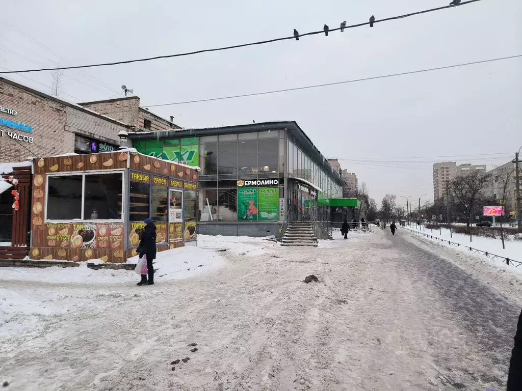 Помещение свободного назначения в Санкт-Петербург Будапештская ул., ... - Фото 1