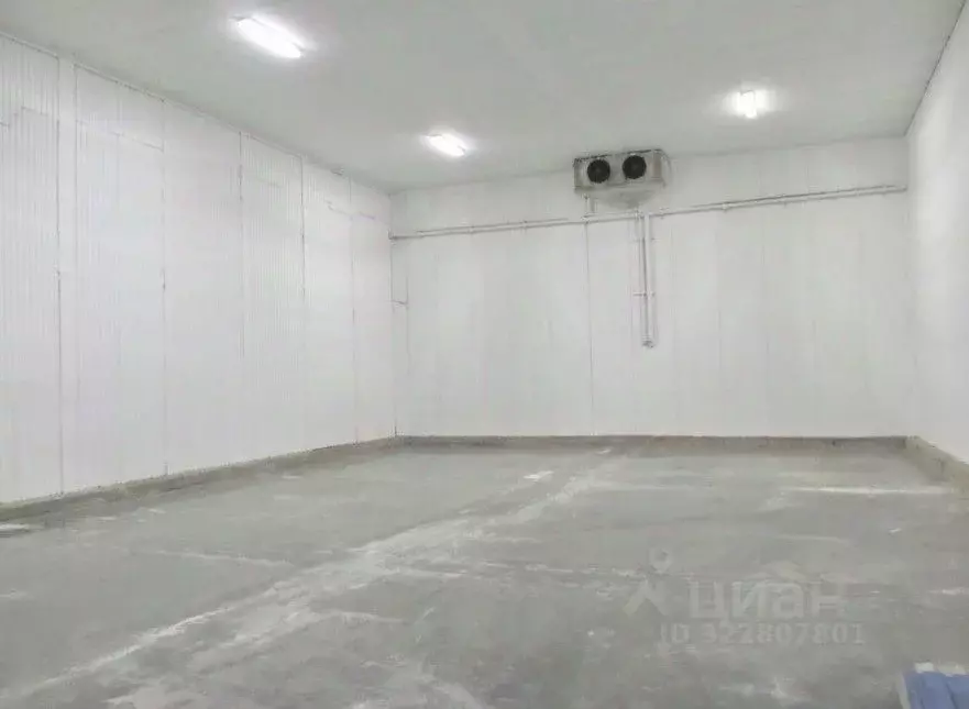 Склад в Ленинградская область, Тосненский район, пос. Тельмана 60 ... - Фото 2