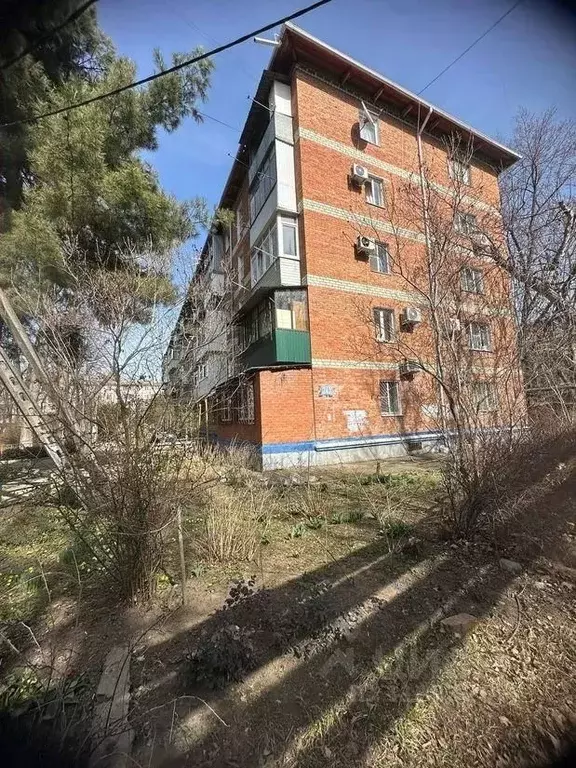1-к кв. Краснодарский край, Краснодар Ставропольская ул., 242 (31.1 м) - Фото 0