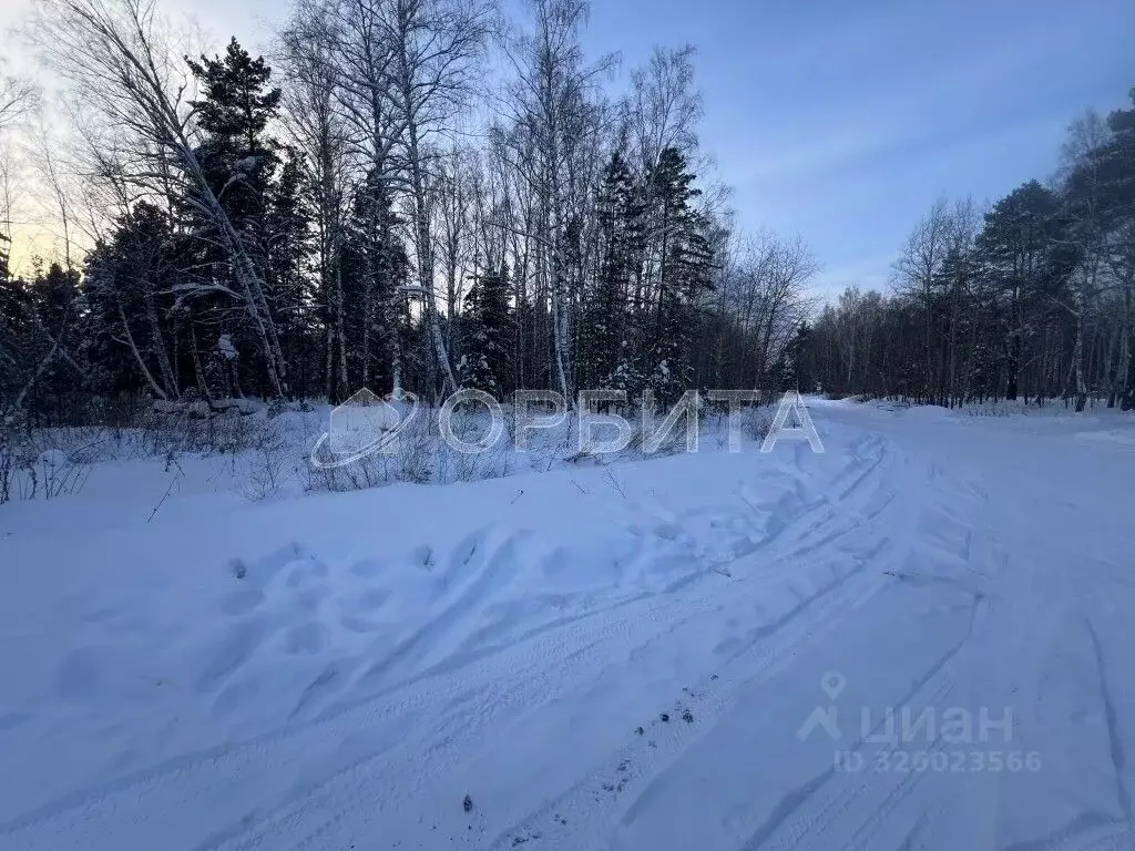Участок в Тюменская область, Тюмень Центральная пл. (15.0 сот.) - Фото 1