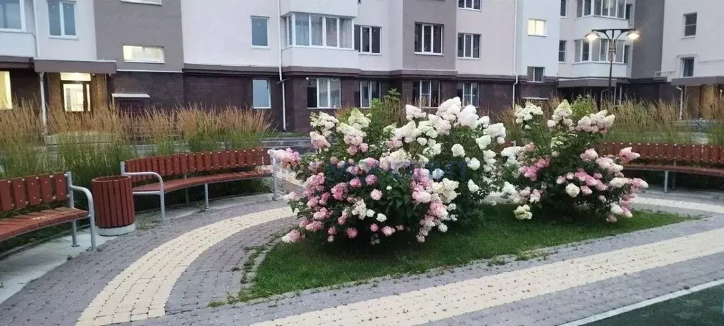 1-к кв. Нижегородская область, Бор ул. Ленина, 58 (46.7 м) - Фото 1