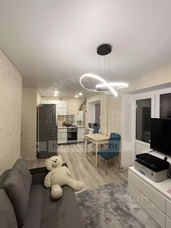 1-к кв. Калужская область, Калуга ул. Карла Либкнехта, 14 (30.0 м) - Фото 1