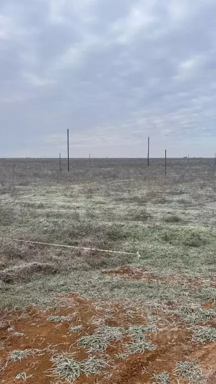 Участок в Крым, Ленинский район, Семисотское с/пос, с. Каменское  (6.0 ... - Фото 2