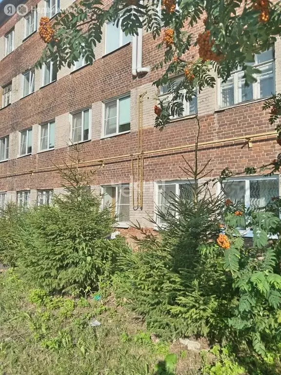 1-комнатная квартира: Балахна, улица Бумажников, 41 (16 м) - Фото 1