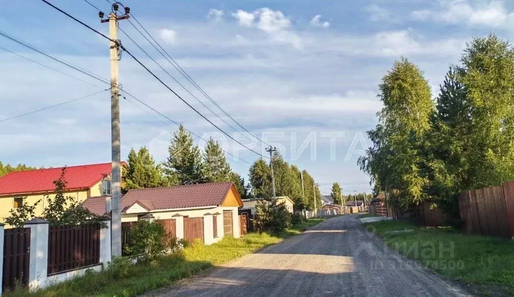 Участок в Тюменская область, Нижнетавдинский район, Березка СНТ 38 ... - Фото 0