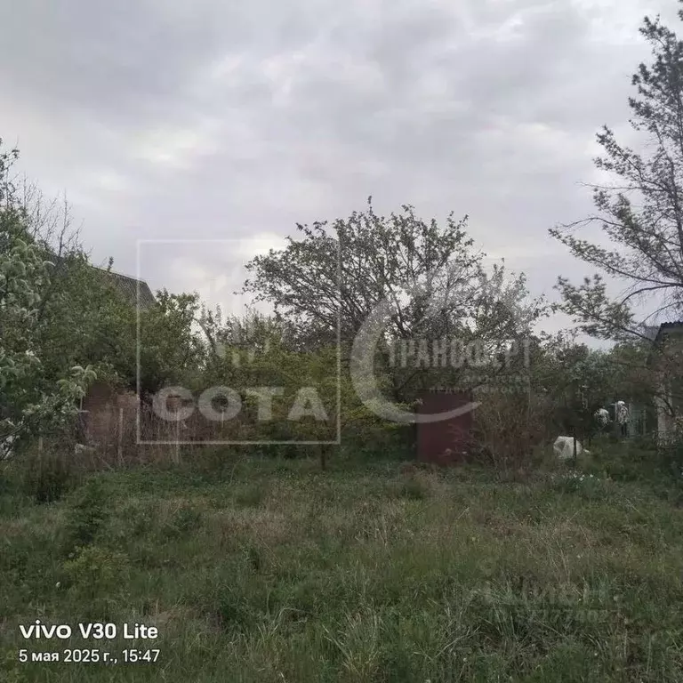 Дом в Воронежская область, Воронеж Вега-88 СНТ, ул. 12-я, 518 (25 м) - Фото 2